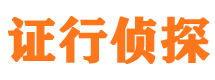 花山市私家侦探